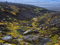 IS, Vesturland, Snaefellsbaer, Kaldidalur 1, Saxifraga-Dick Hoogenboom