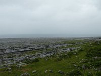 IRL, Clare County, The Burren 10, Saxifraga-Kees Laarhoven