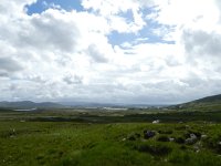 IRL, Galway County, Connemara 1, Saxifraga-Kees  Laarhoven