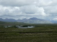 IRL, Galway County, Connemara 10, Saxifraga-Kees  Laarhoven