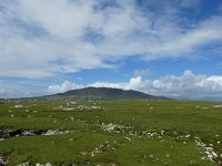 IRL, Galway County, Connemara 13, Saxifraga-Kees  Laarhoven