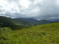 IRL, Galway County, Connemara 18, Saxifraga-Kees  Laarhoven