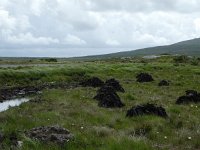 IRL, Galway County, Connemara 8, Saxifraga-Kees  Laarhoven