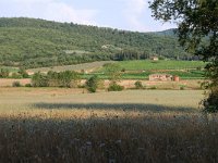 I, Arezzo, Laterina Pergine Valdarno, near Montozzi 4, Saxifraga-Tom Heijnen