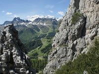 I, Belluno, Livinallongo del Col di Lana, Arabba, Bec de Roces 52, Saxifraga-Annemiek Bouwman