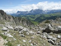 I, Belluno, Livinallongo del Col di Lana, Arabba, Bec de Roces 58, Saxifraga-Annemiek Bouwman