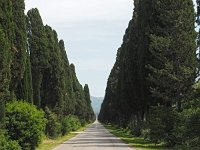 I, Livorno, Castagneto Carducci, Bolgher 1, Saxifraga-Hans Dekker