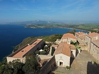 I, Livorno, Piombino, Populonia 5, Saxifraga-Hans Dekker