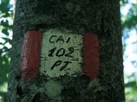 I, Pistoia, Abetone 10, Saxifraga-Jan van der Straaten