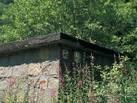 I, Pistoia, Abetone 13, Saxifraga-Jan van der Straaten