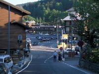 I, Pistoia, Abetone 8, Saxifraga-Jan van der Straaten