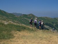 I, Pistoia, Abetone, Alpe Tre Potenze 6, Saxifraga-Jan van der Straaten