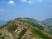 I, Pistoia, Abetone, Cervinaria 1, Saxifraga-Jan van der Straaten