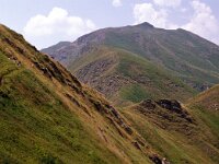 I, Pistoia, Abetone, Cervinaria 5,tif Saxifraga-Jan van der Straaten