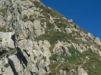 I, Pistoia, Abetone, Denti della Vecchia 2, Saxifraga-Jan van der Straaten