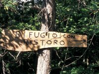 I, Pistoia, Abetone, La Verginetta 1, Saxifraga-Jan van der Straaten