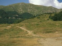 I, Pistoia, Abetone, La Verginetta 5, Saxifraga-Jan van der Straaten