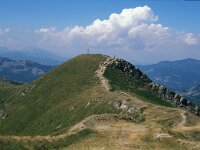 I, Pistoia, Abetone, Mt Gomito 5, Saxifraga-Jan van der Straaten