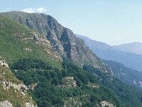 I, Pistoia, Abetone, Val di Luce 14, Saxifraga-Jan van der Straaten