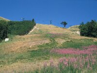 I, Pistoia, Abetone, Val di Luce 17, Saxifraga-Jan van der Straaten