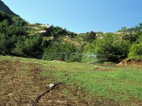 I, Pistoia, Abetone, Val di Luce 5, Saxifraga-Jan van der Straaten