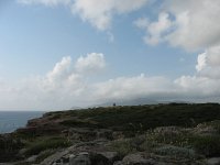 I, Sardegna, Alghero, Torre del Porticciolo 2, Saxifraga-Kees Laarhoven : voorjaar 2010