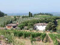 I, Siena, Gaiole in Chianti, Castello di Brolio to San Felice 1, Saxifraga-Tom Heijnen