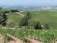 I, Siena, Gaiole in Chianti, Castello di Brolio to San Felice 2, Saxifraga-Tom Heijnen