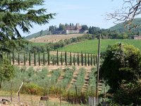 I, Siena, Gaiole in Chianti, Castello di Brolio to San Felice 3, Saxifraga-Tom Heijnen