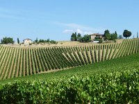 I, Siena, Gaiole in Chianti, Castello di Brolio to San Felice 4, Saxifraga-Tom Heijnen