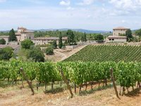 I, Siena, Gaiole in Chianti, Castello di Brolio to San Felice 7, Saxifraga-Tom Heijnen