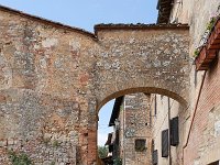 I, Siena, Monteriggioni, Abbadia a Isola 3, Saxifraga-Tom Heijnen