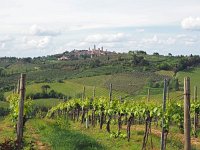 I, Siena, San Gimignano 11, Saxifraga-Hans Dekker