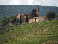 I, Siena, San Gimignano 7, Saxifraga-Hans Dekker