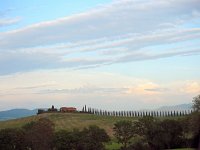 I, Siena, San Quirico d'Orcia 11, Saxifraga-Hans Dekker