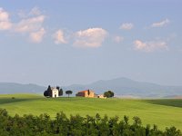 I, Siena, San Quirico d'Orcia 2, Saxifraga-Hans Dekker