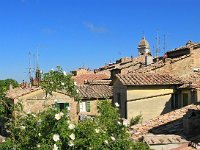 I, Siena, San Quirico d'Orcia 6, Saxifraga-Hans Dekker