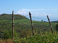 I, Siracusa, Buccheri 4, Saxifraga-Hans Dekker