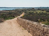 I, Siracusa, Noto, Vendicari 10, Saxifraga-Hans Dekker