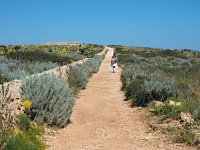 I, Siracusa, Noto, Vendicari 4, Saxifraga-Hans Dekker