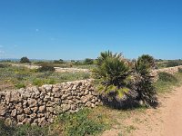 I, Siracusa, Noto, Vendicari 7, Saxifraga-Hans Dekker