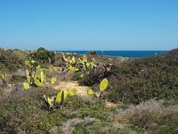 I, Siracusa, Noto, Vendicari 9, Saxifraga-Hans Dekker