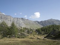 I, Sondrio, Lanzada, Rifugio Cristina 14, Saxifraga-Willem van Kruijsbergen