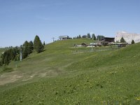 I, Sued-Tirol, Corvara, Col Alt 28, Saxifraga-Willem van Kruijsbergen