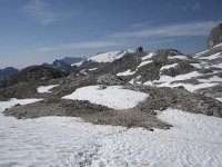 I, Sued-Tirol, Corvara, Franz Kostner Huette 3, Saxifraga-Willem van Kruijsbergen