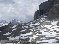 I, Sued-Tirol, Corvara, Franz Kostner Huette 6, Saxifraga-Willem van Kruijsbergen