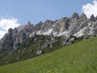 I, Sued-Tirol, Corvara, Kolfuschg, Ciamplo 8, Saxifraga-Willem van Kruijsbergen