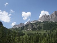 I, Sued-Tirol, Corvara, Kolfuschg, Gran Cier 1, Saxifraga-Willem van Kruijsbergen