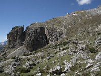 I, Sued-Tirol, Corvara, Kolfuschg, Sas Ciampac 5, Saxifraga-Willem van Kruijsbergen