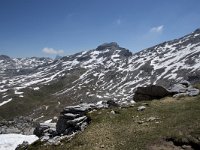 I, Sued-Tirol, Corvara, Kolfuschg, Sas Ciampac 8, Saxifraga-Willem van Kruijsbergen